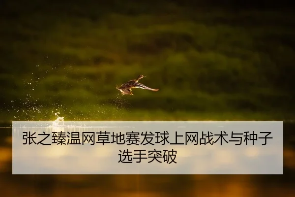 张之臻温网草地赛发球上网战术与种子选手突破