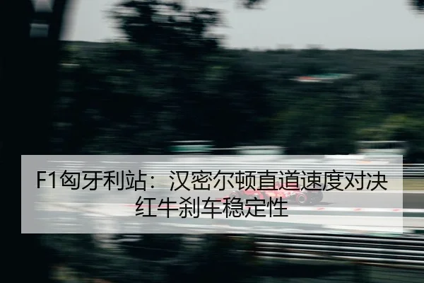 xiong-ya-li-zhan-han-mi-er-dun-zhi-dao-su-du-dui-jue-hong-niu-sha-che-wen-ding-xing-2-841.jpg