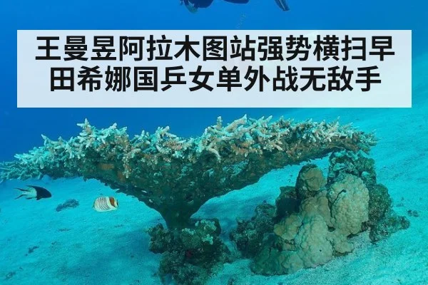 王曼昱阿拉木图站强势横扫早田希娜国乒女单外战无敌手